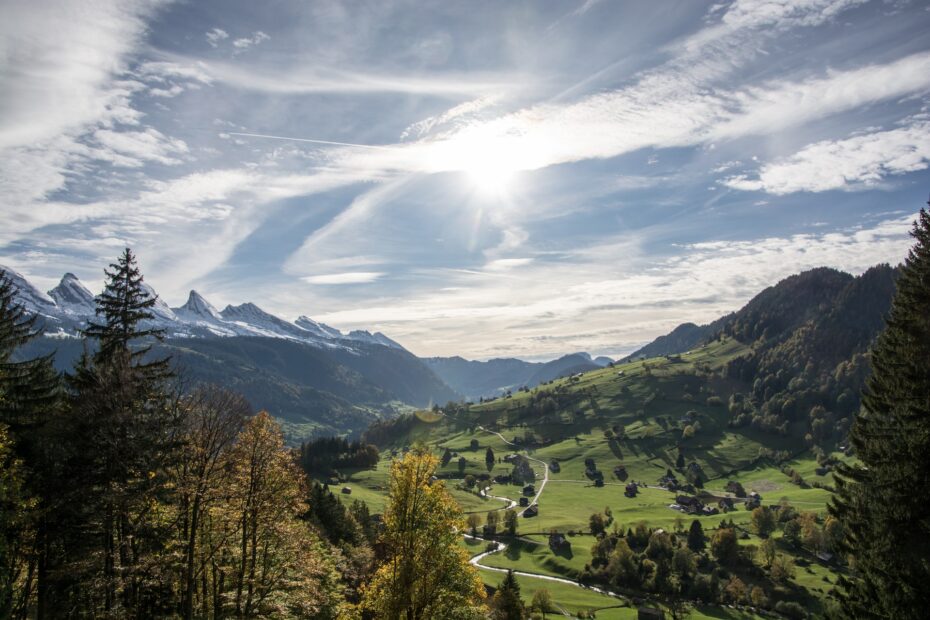 KPMG Change Readiness Index 2019 Schweiz