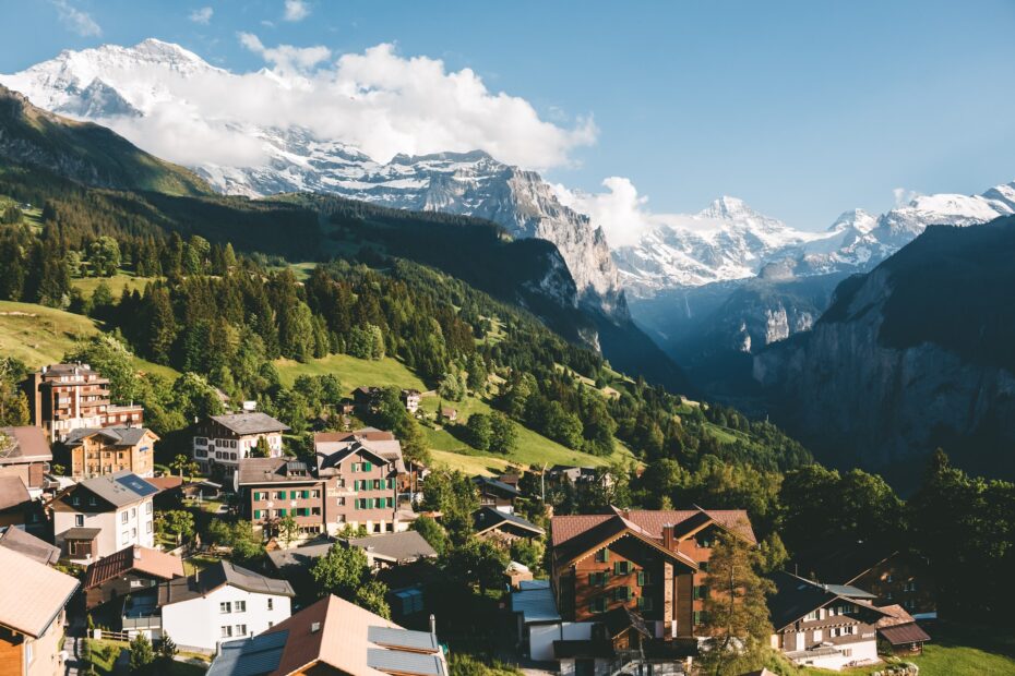 Swissness-Gesetzgebung und Missbrauchsvermeidung